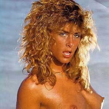 Porn actress Barbara Dare
